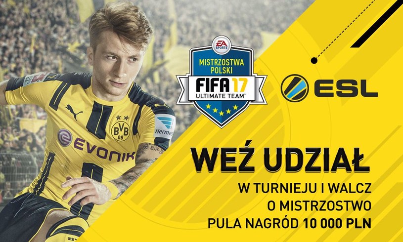 FIFA 17 /materiały prasowe