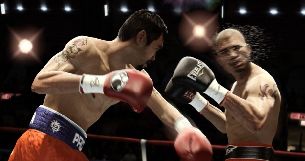 Fight Night Champion - motyw graficzny /Informacja prasowa