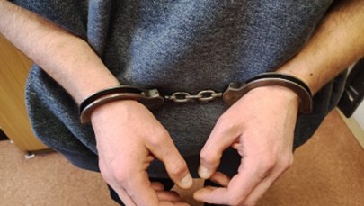 Fikcyjne maszyny rolnicze. Areszt dla oszustów internetowych