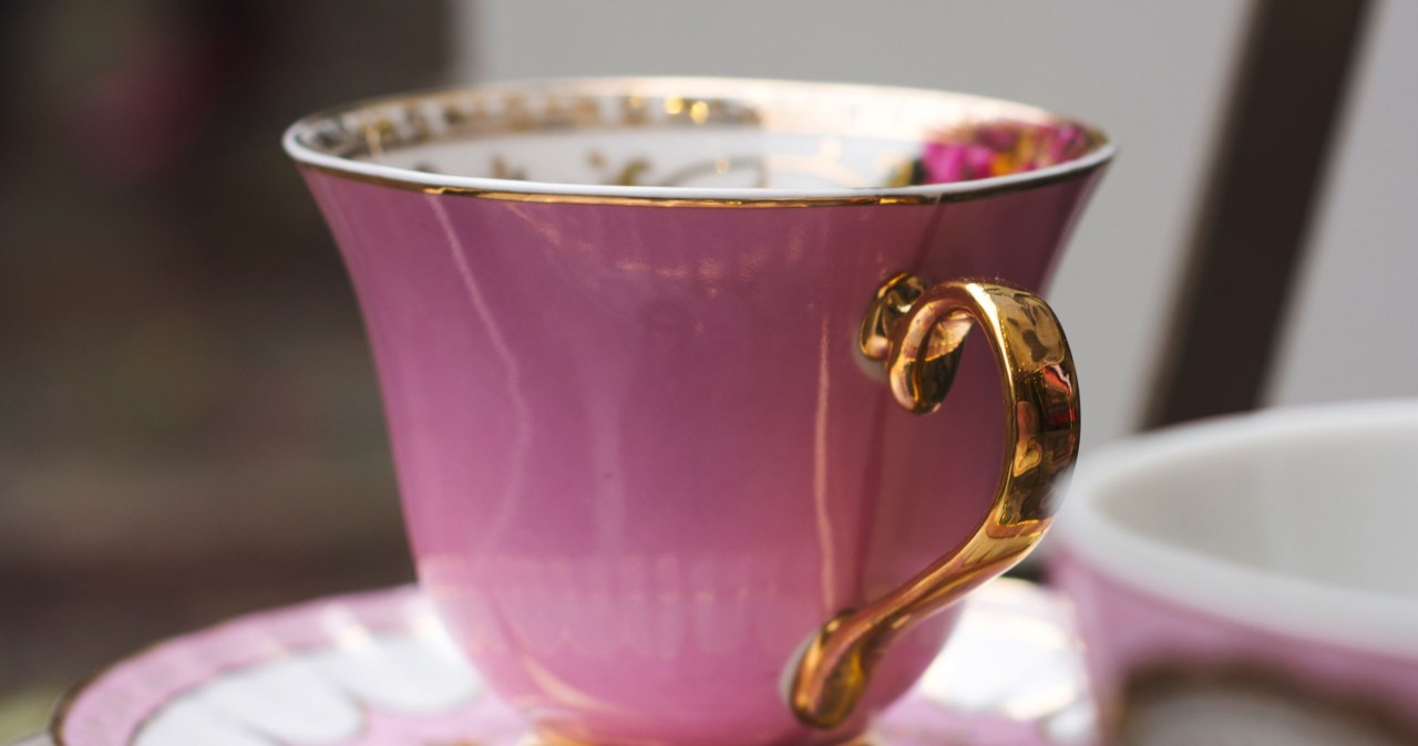 Filiżanka herbaty z dzikiej róży to najlepsza ochrona przy przesileniu wiosennym /JAYMID /Canva Pro