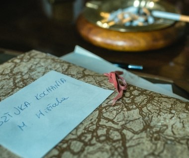 "Film opowiadać będzie historię walki Wisłockiej o wydanie przełomowego dla Polaków poradnika o życiu intymnym tytułowej 'Sztuki kochania'. Książkę, która sprzedała się w ponad 7 mln egzemplarzy, przez wiele lat czytały kolejne pokolenia z wypiekami na twarzy. Chcemy pokazać Michalinę Wisłocką jako lekarza z powołania, w walce o udane życie intymne polskich par. Wisłocka uczyła przede wszystkim, że kluczem do udanego związku jest poznanie nawzajem swoich potrzeb, w tym również seksualnych" - tłumaczy scenarzysta Krzysztof Rak.