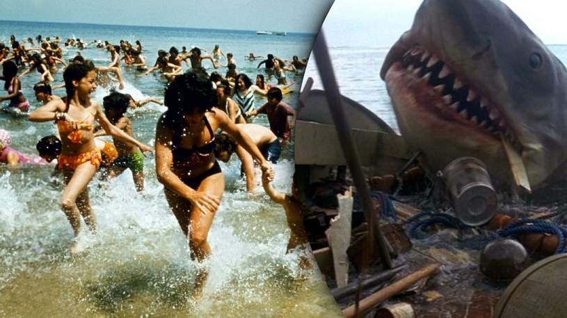Film "Szczęki" mocno wpłynął na to, jak postrzegamy rekiny. Za przysporzenie im czarnego PR-u przeprosił sam Steven Spielberg / Universal /East News
