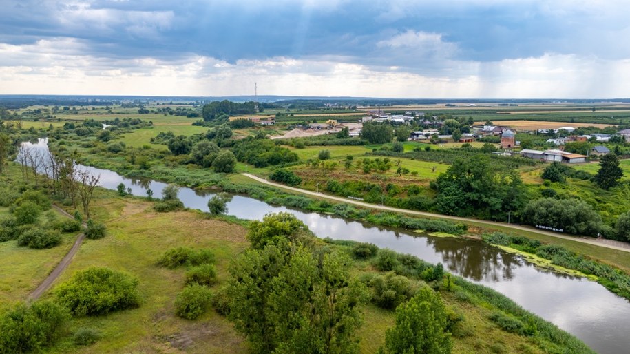 Fińscy naukowcy opracowali tani filtr z kory sosnowej i magnetytu. Usuwa antybiotyki i leki ze ścieków /Shutterstock