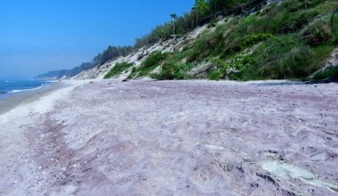 Fioletowa plaża nad Bałtykiem. Jak powstaje to wyjątkowe zjawisko?