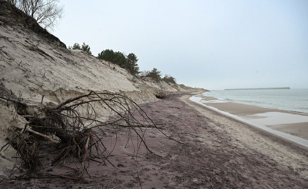 Fioletowa plaża w Mielnie. Niezwykłe zjawisko przyciąga tłumy 