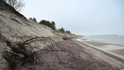 Fioletowa plaża w Mielnie. Niezwykłe zjawisko przyciąga tłumy 