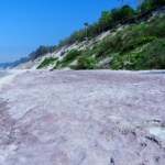 Fioletowe plaże nad Bałtykiem to rarytas. Zjawisko zachwyca