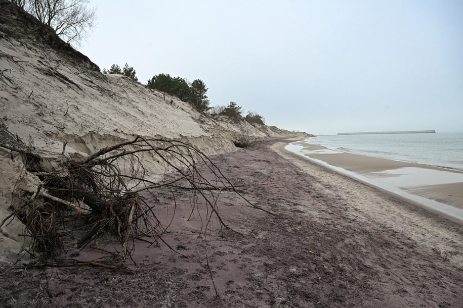 Fioletowy piasek na plaży w Mielnie /Piotr Kowala /PAP