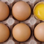Fipronil w jajach pochodzących z trzech polskich ferm
