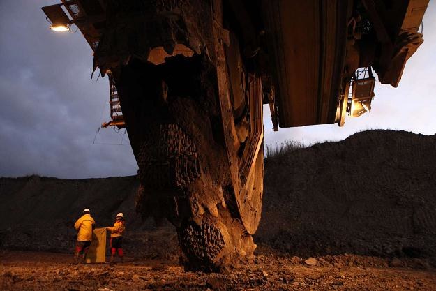 Firma Czech Coal poinformowała, że pracownicy okradli ją na minimum 100 mln koron /AFP