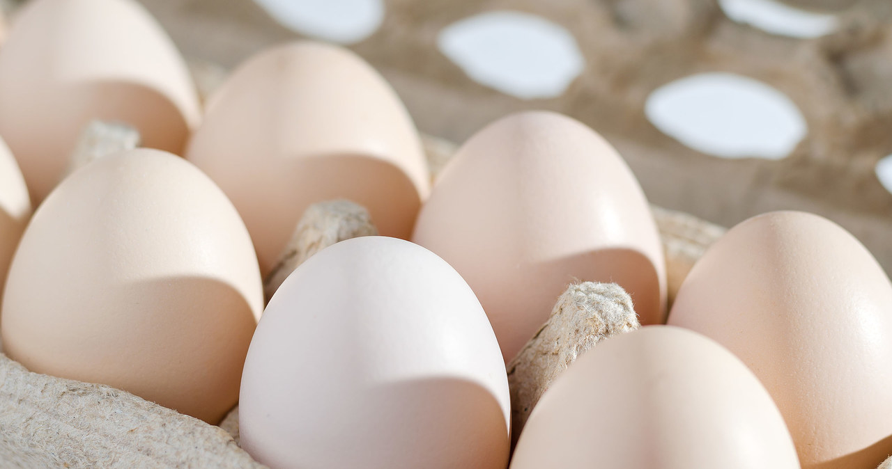 Firma Kaufland poinformowała o wycofaniu za sprzedaży partii jaj w związku z wykryciem pałeczek Salmonella Enteritidis /123RF/PICSEL