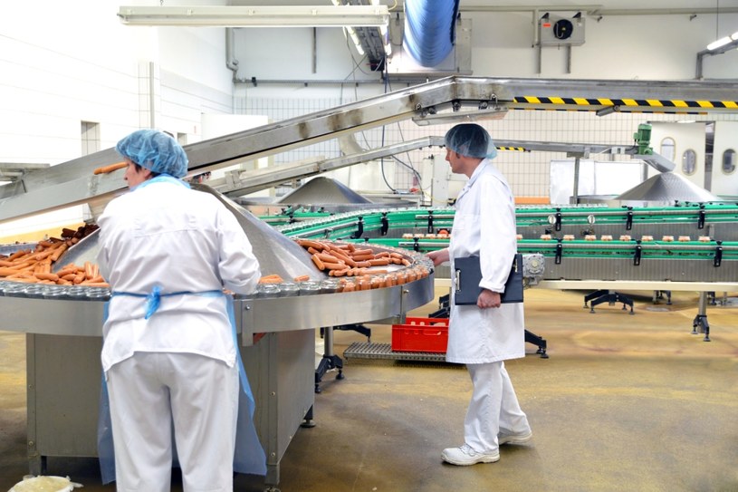 Firma z USA zatrudniała dzieci do czyszczenia przemysłowego w przetwórstwie mięsnym (zdj. ilustracyjne) /123RF/PICSEL