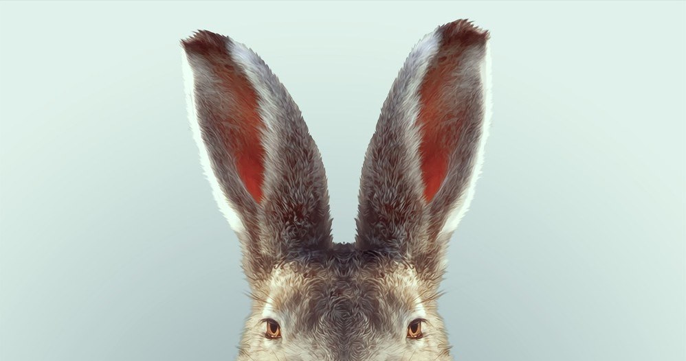 Firmowe króliczki omijaj szerokim łukiem! /East News