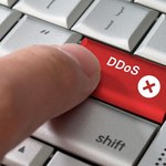 Firmy boją się ataków DDoS