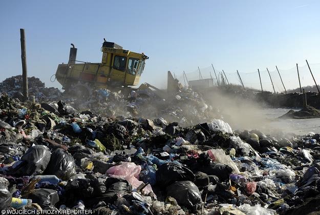 Firmy śmieciowe przeciw monopolowi samorządów w gospodarce odpadowej. Fot. W. Stróżyk /Reporter