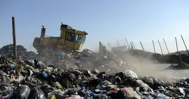Firmy śmieciowe przeciw monopolowi samorządów w gospodarce odpadowej. Fot. W. Stróżyk /Reporter