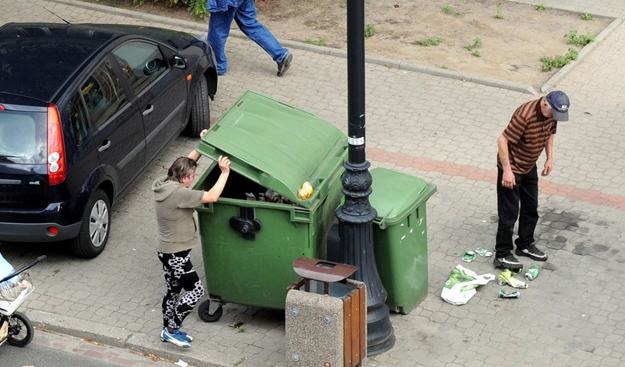 Firmy sprzątające chcą kar za grzebanie w śmietnikach. Fot. WOJTEK-LASKI /Agencja SE/East News
