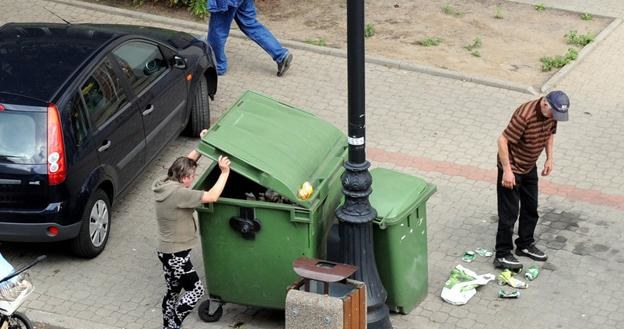 Firmy sprzątające chcą kar za grzebanie w śmietnikach. Fot. WOJTEK-LASKI /Agencja SE/East News
