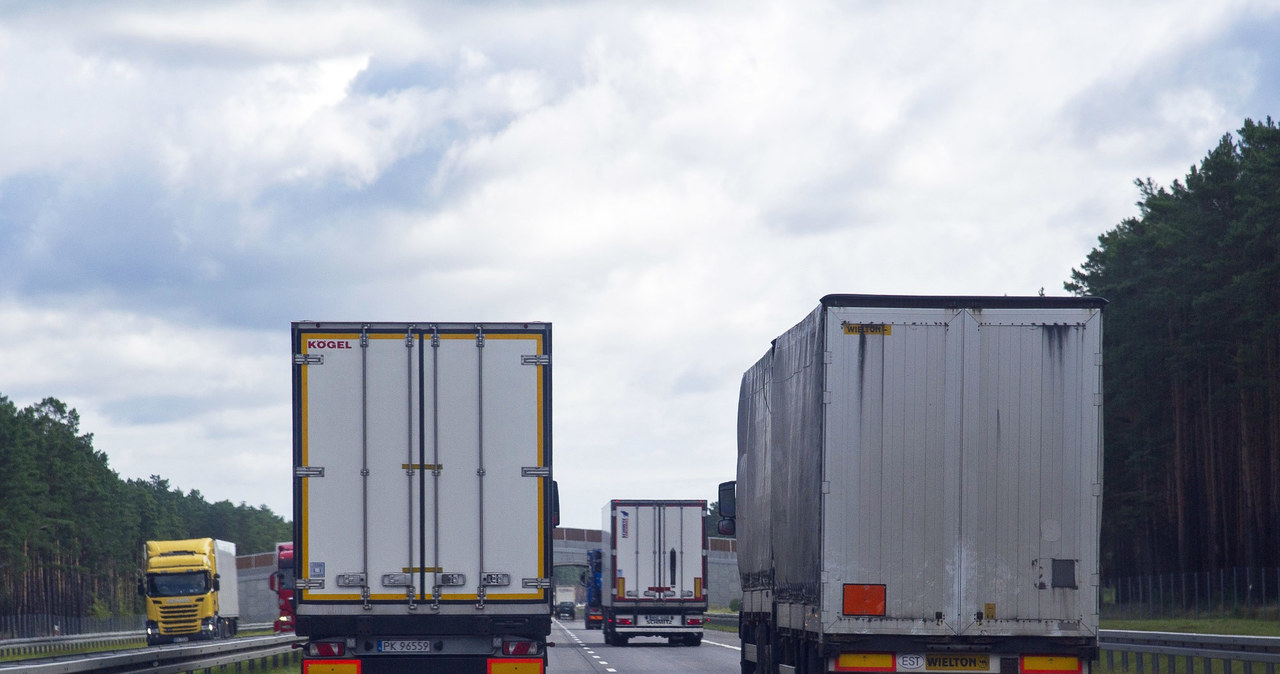 Firmy transportowe mają coraz większe problemy ze znalezieniem kierowców /Wojciech Stróżyk /Reporter