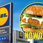 Fishburger z Lidla za 9,99 zł! Lepszy niż kultowy fastfoodowy klasyk?
