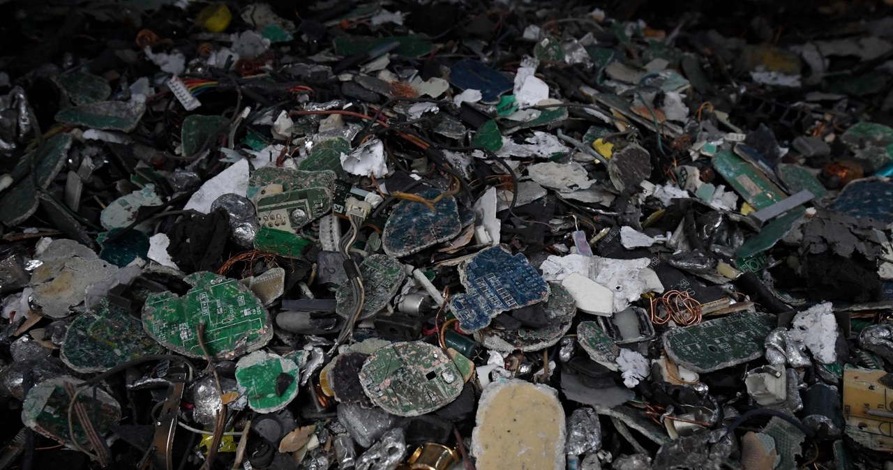 Fiskus będzie sprawdzał nasze śmieci? /AFP