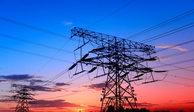 Fitch: powstanie NABE oznacza lepsze perspektywy finansowania transformacji energetycznej w Polsce 
