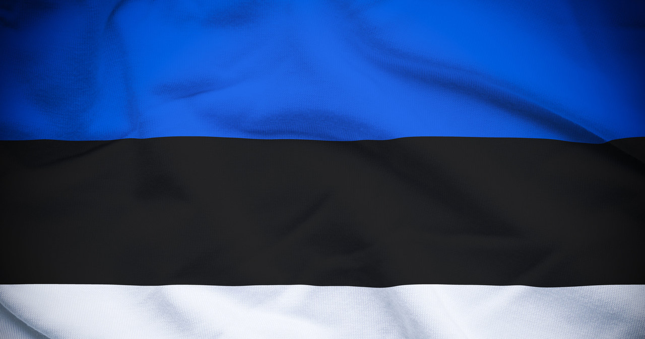 Flaga Estonii /123/RF PICSEL