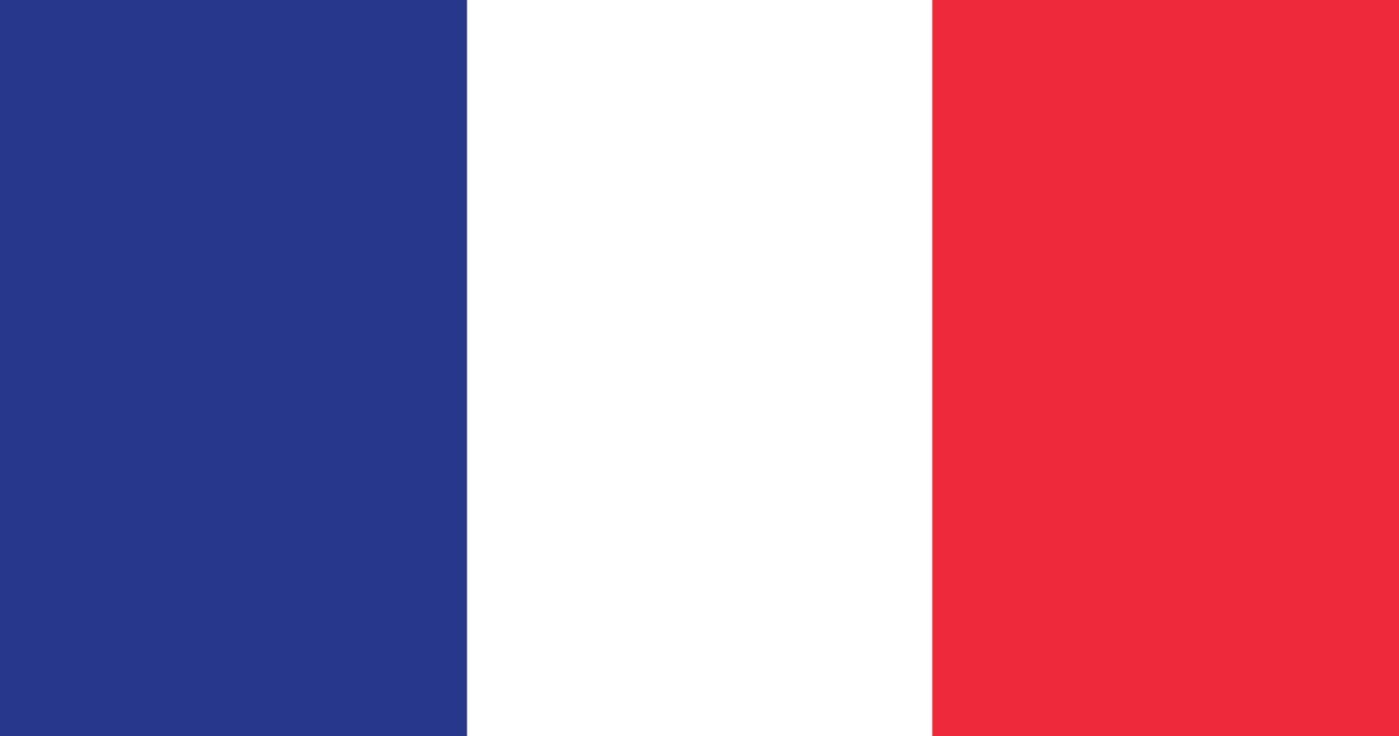 Flaga Francji /123/RF PICSEL