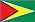 Flaga Gujany /Encyklopedia Internautica