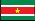 Flaga państwa Surinam /Encyklopedia Internautica