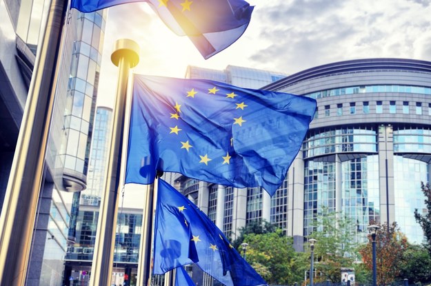 Flagi Unii Europejskiej /Shutterstock