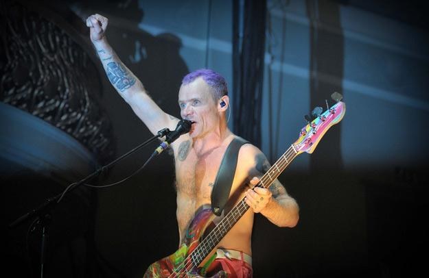 Flea, basista Red Hot Chili Peppers - fot. Press Eye Ltd / Rex Features /East News