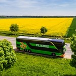 FlixBus Polska wznawia kolejne połączenia - nowe kierunki na długi weekend i wakacje