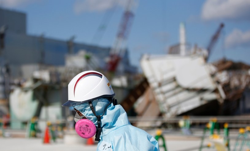 Flora i fauna w okolicach elektrowni w Fukushimie wciąż potrzebuje czasu do regeneracji /AFP