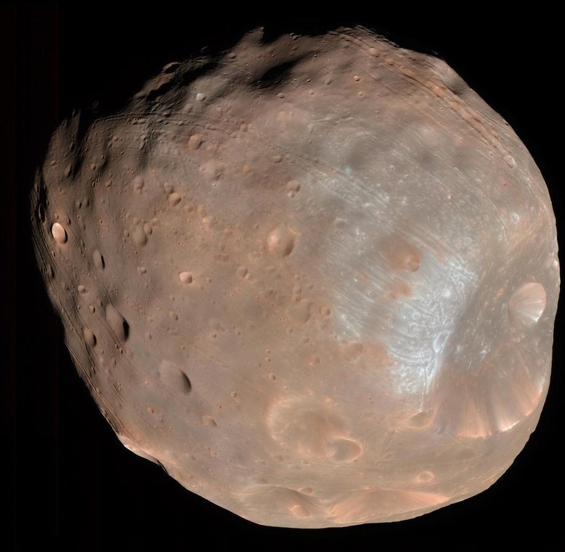 Fobos sfotografowany w marcu 2008 roku z pomocą kamery HiRISE (High Resolution Imaging Science Experiment) sondy Mars Reconnaissance Orbiter /materiały prasowe