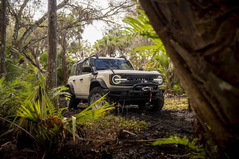 Ford Bronco Everglades /Informacja prasowa
