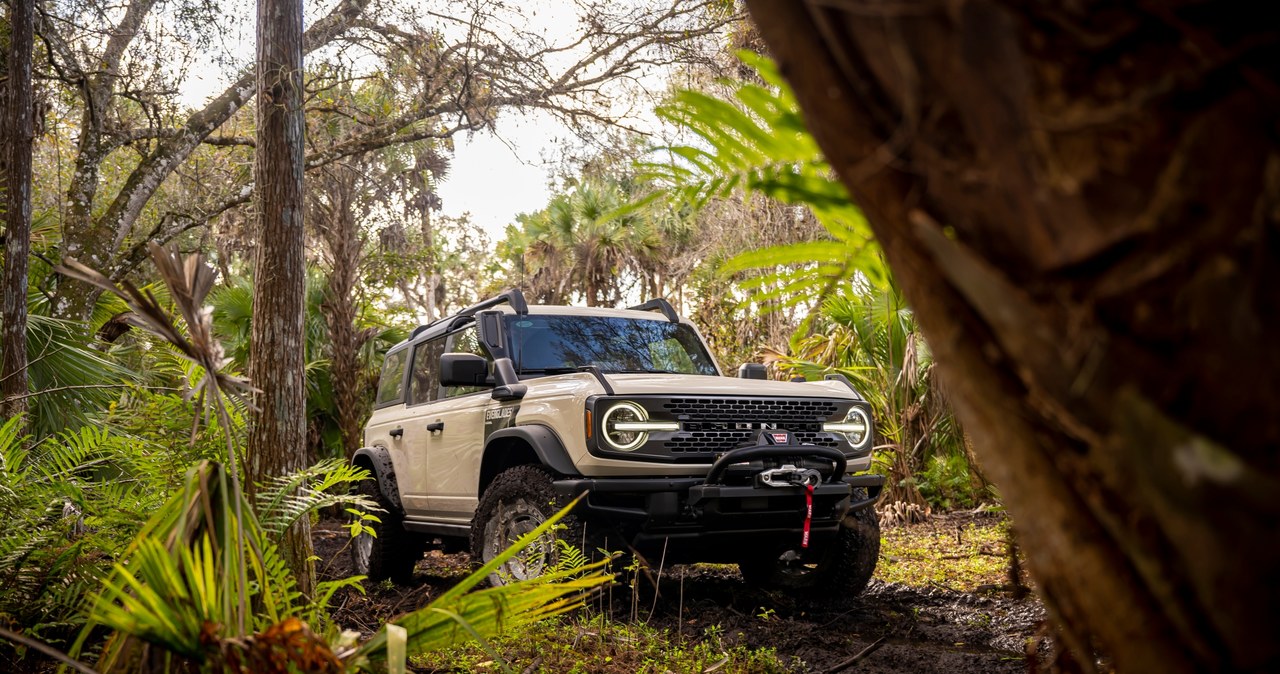 Ford Bronco Everglades /Informacja prasowa