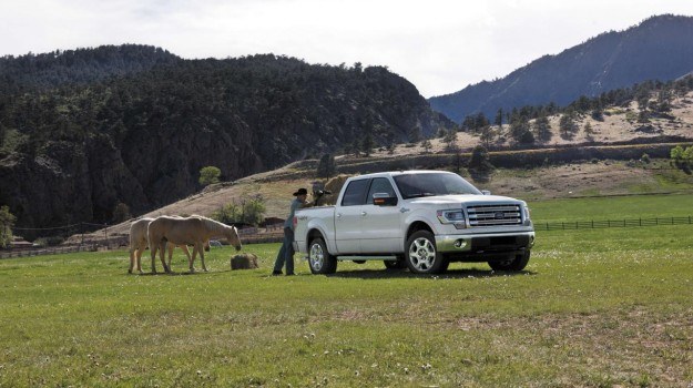 Ford F-150 King Ranch /Ford