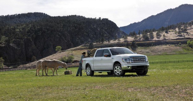 Ford F-150 King Ranch /Ford