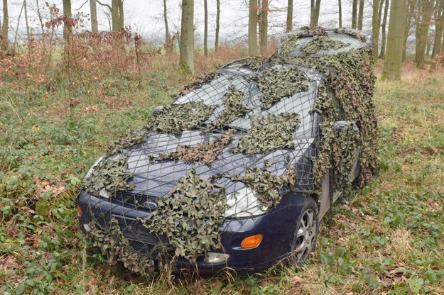 Ford Focus porzucony przez sprawców w lesie koło Volksmarkdorf /POLIZEI WOLFSBURG  /PAP/EPA