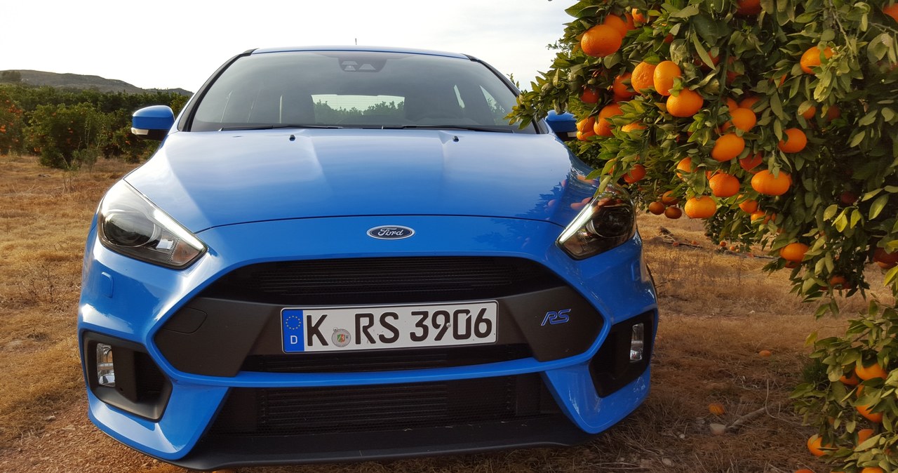 Ford focus RS /INTERIA.PL