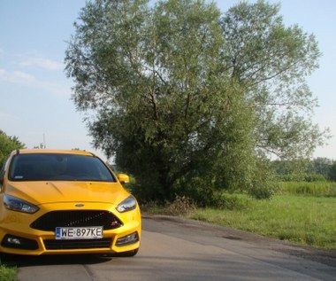 Ford Focus ST. Pamiętasz  kolor  "yellow bahama"?