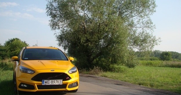 Ford Focus ST /INTERIA.PL