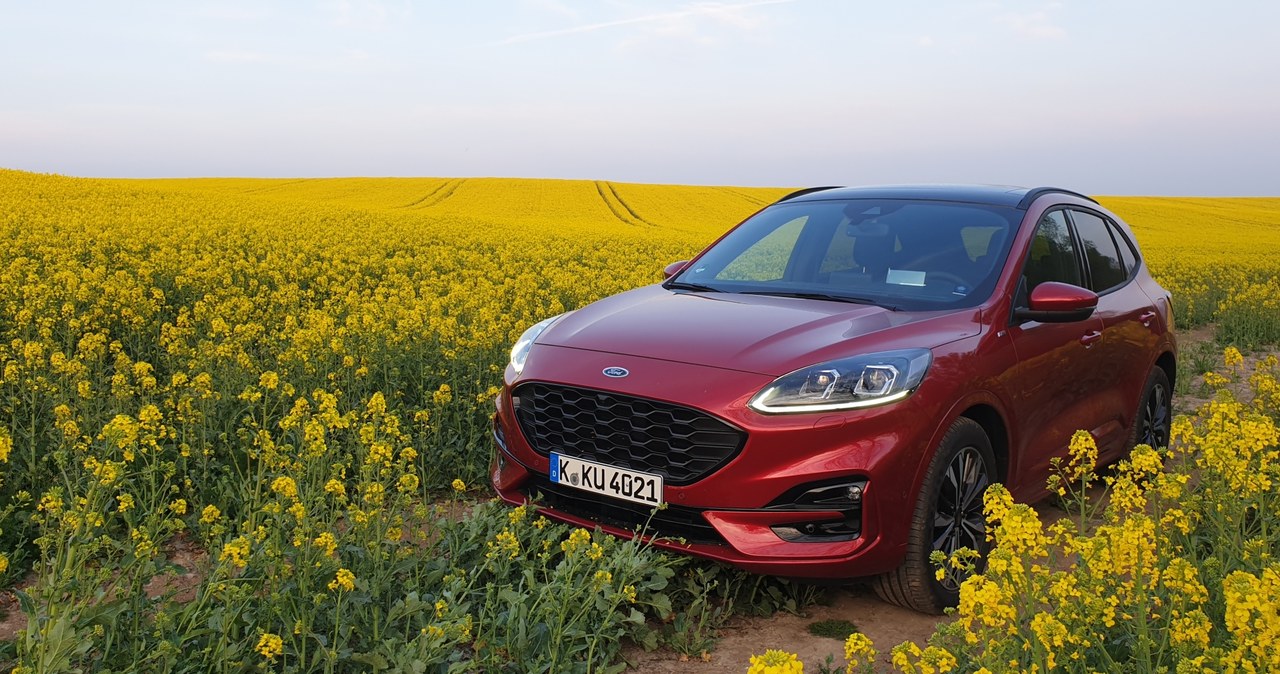 Ford Kuga 2020 /INTERIA.PL