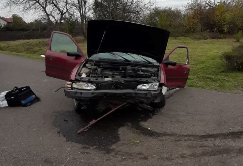 Ford Mondeo uderzył w pień drzewa. Jego kierowca był pod wpływem alkoholu. /Policja Lubelska /Policja