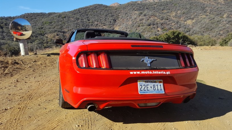 Ford Mustang Convertible /INTERIA.PL