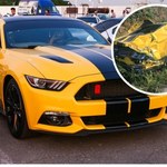 Ford Mustang dachował i stanął w ogniu. W środku nietrzeźwy 35-latek