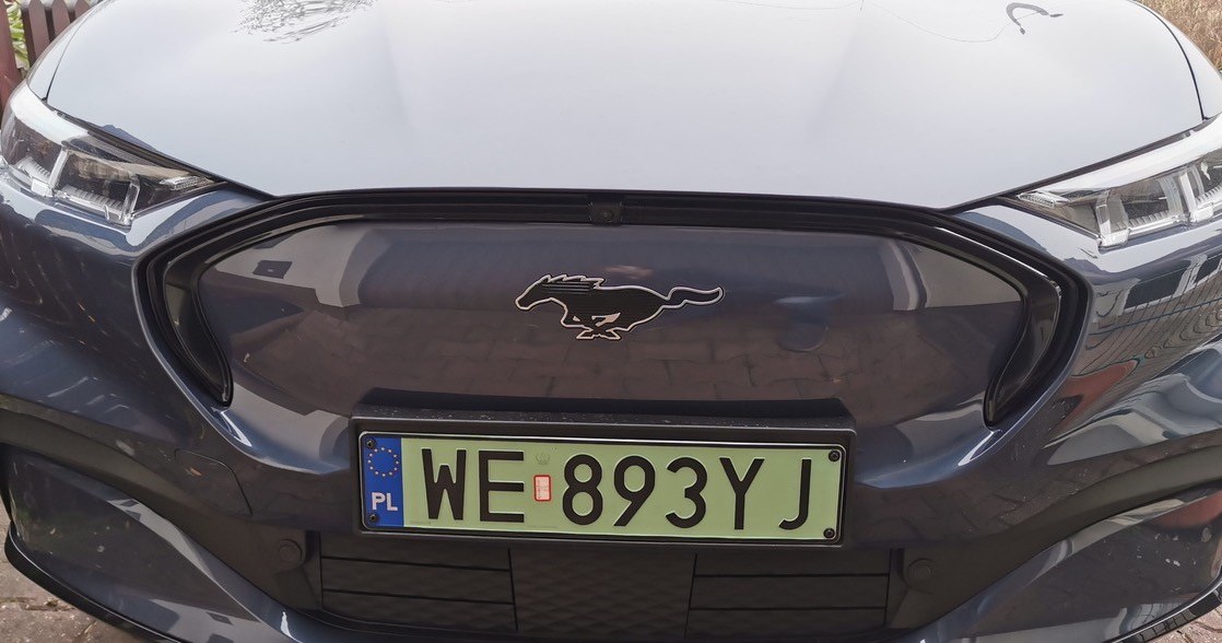 Ford Mustang E-Mach /INTERIA.PL