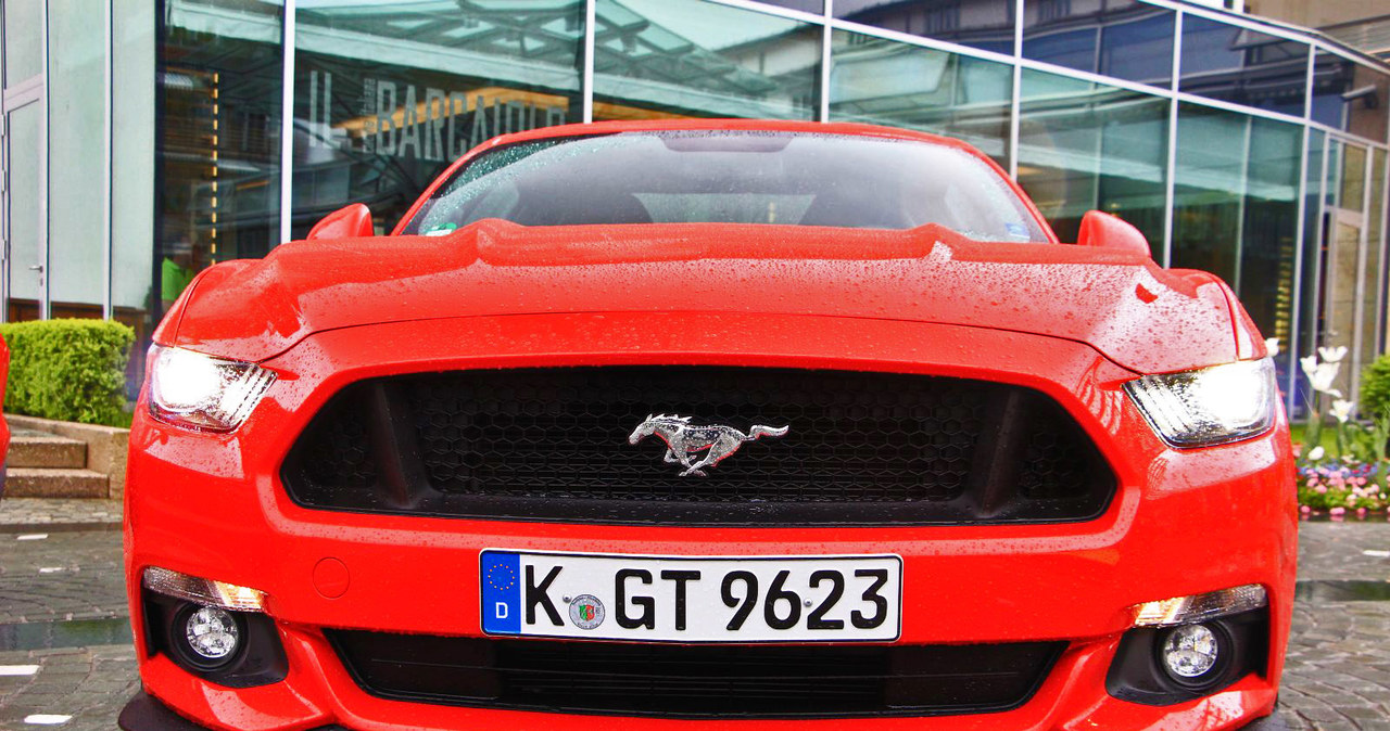 Ford Mustang GT /INTERIA.PL