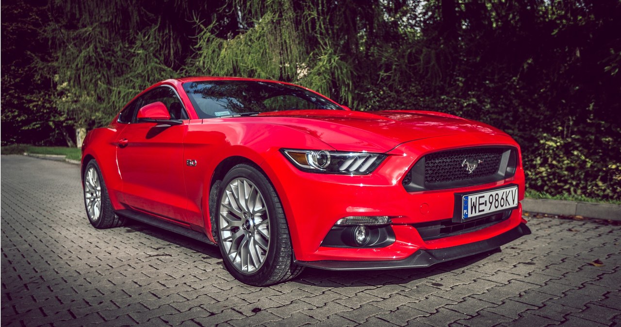 Ford Mustang GT /INTERIA.PL